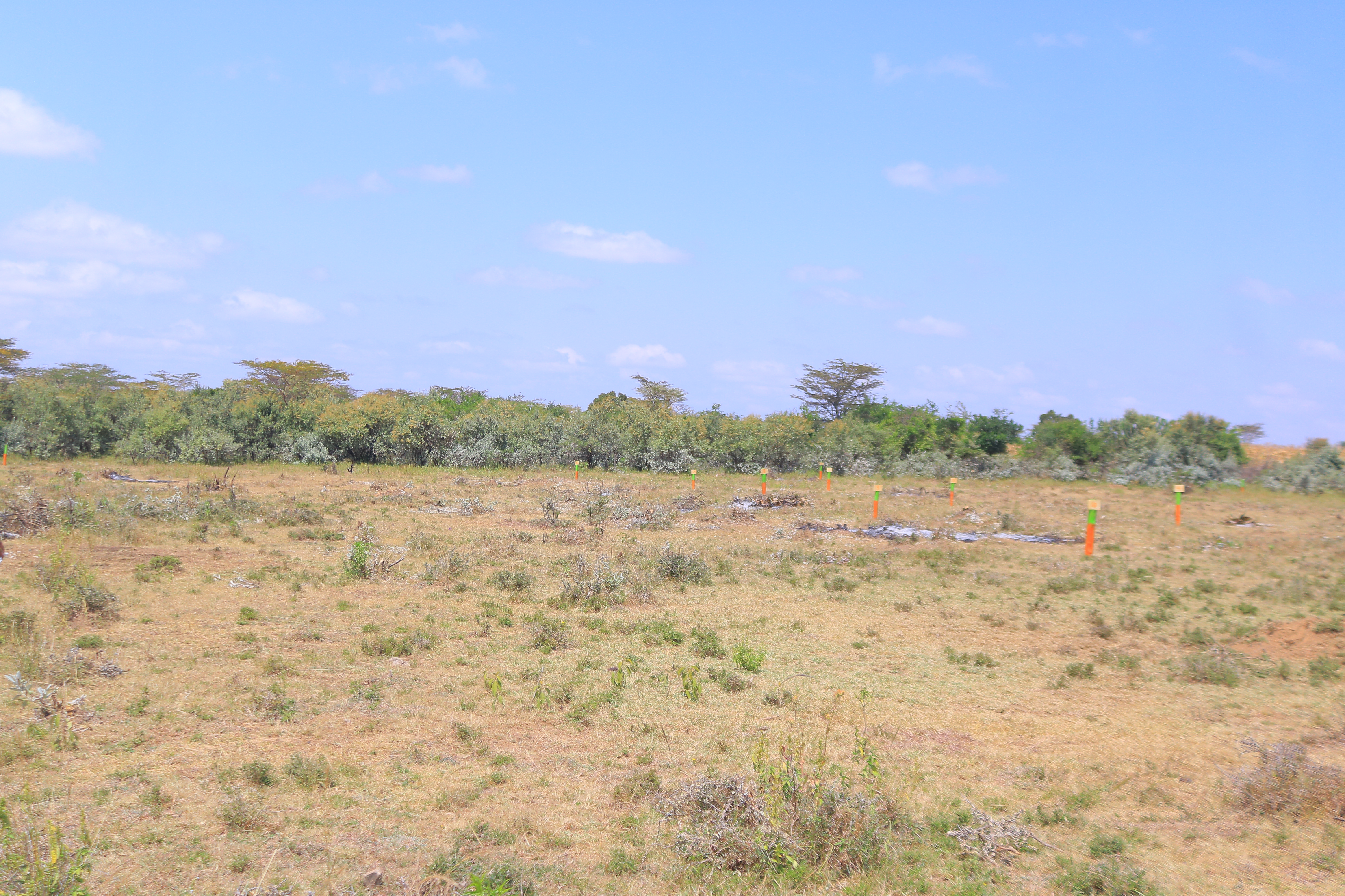 residential plots Narok Olerai – Amani Gardens Phase 7 estate environment